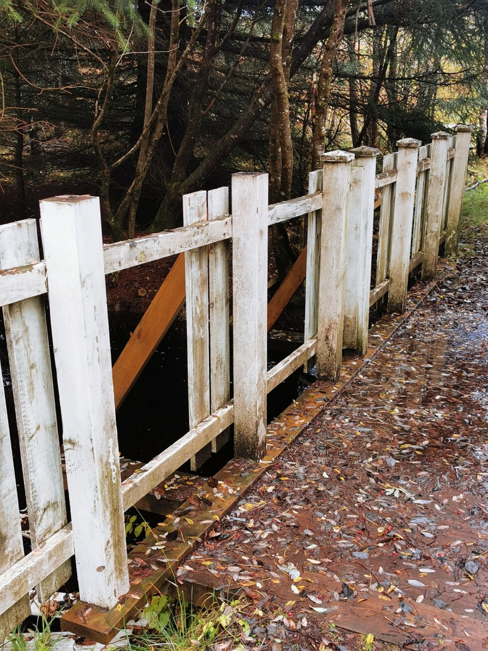 Gjerdet er ødelagt.
 Foto: privat