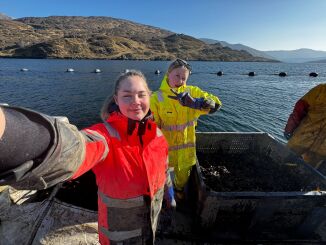 Praksisoppholdet i Irland ble en øyeåpner for Vilde og Mia
