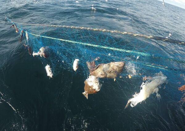 Ny rekord av tapte fiskeredskaper: Se hvor  mange funn som er gjort her i distriktet