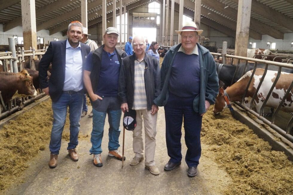 Nestleder i Norsk Charolais Hans Otto Helstad, produsent Bertil Nyheim, George Crocombe og John Morris på befaring i Gaute Måøys fjøs.