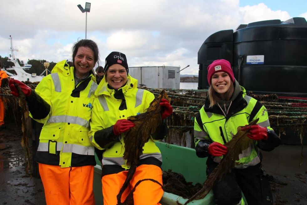 Margarita Novoa-Garrido fra Nord Universitet, Vibeke Lind, forsker ved NIBO og Tine Melkersen Moe fra Val deltok på ensileringsarbeidet på Val.