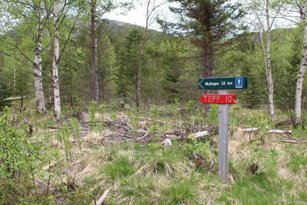 Oppdaget eldgammelt tunanlegg